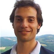 Laureato magistrale in matematica curriculum didattico offre ripetizioni di matematica e/o fisica per studenti di scuole medie o superiori